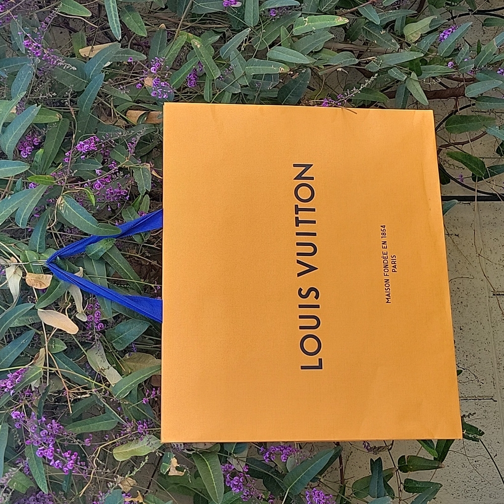 2 Large Louis Vuitton Shopping Bags with bonus receipt envelope